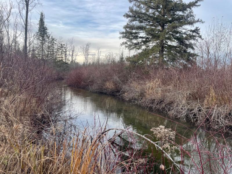 Rental 202652 Main Image