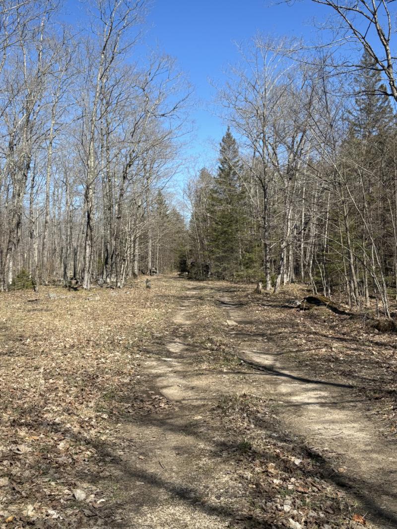 Rental 202985 Main Image