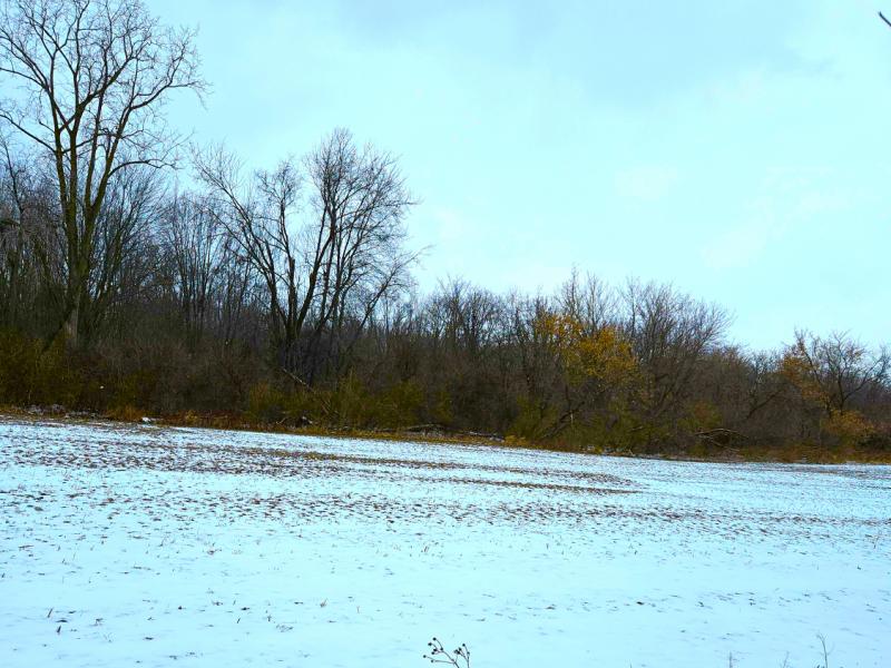 Rental 203066 Main Image