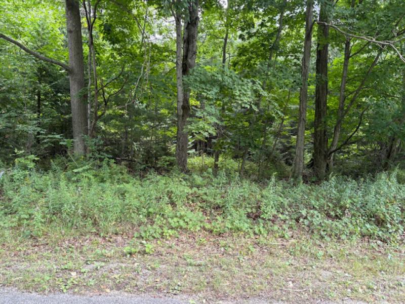 Rental 203171 Main Image