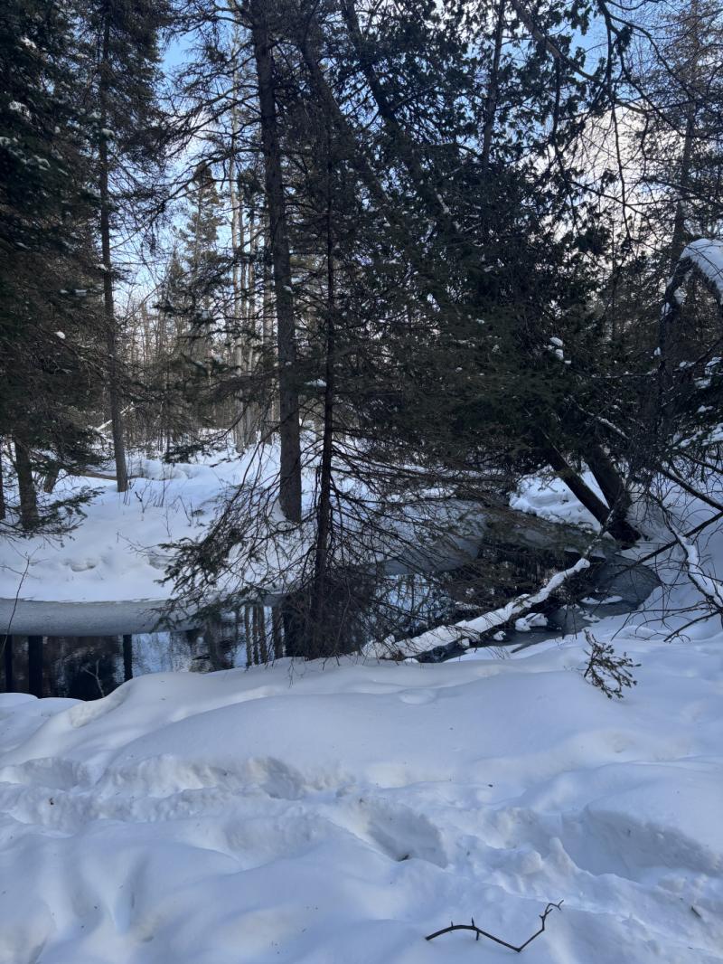 Rental 203195 Main Image