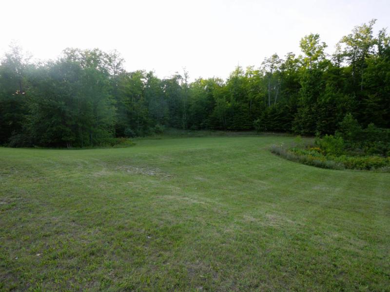 Rental 203804 Main Image