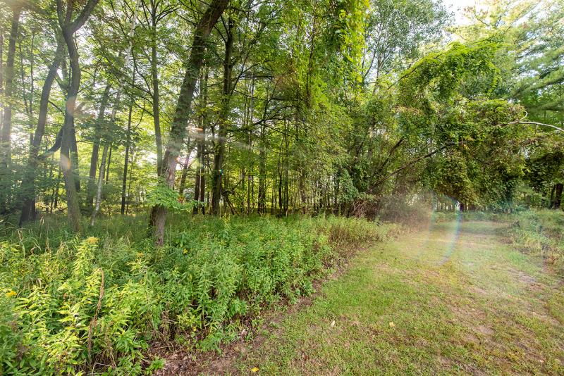 Rental 204766 Main Image